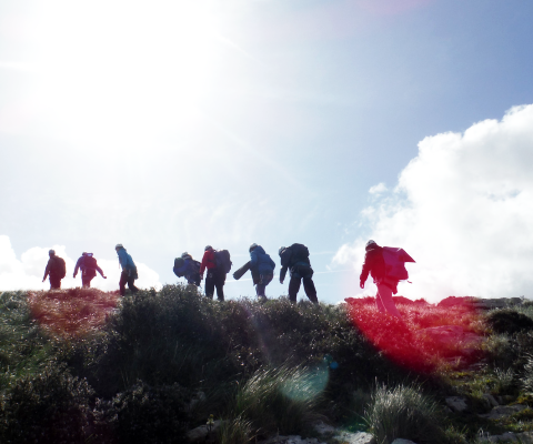 Provas de Sobrevivência